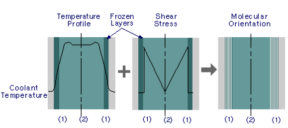 Frozen-in-molecular-orienta